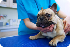 30% de descuento en la 1era consulta médica de especialidad: Endocrinología.